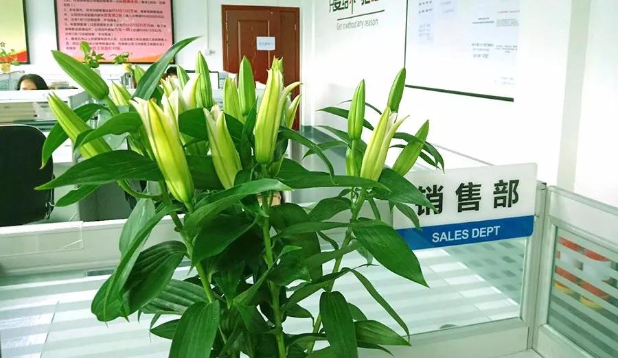 濃情七夕，最美祝福！